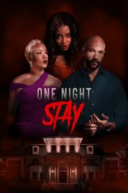 One Night Stay 