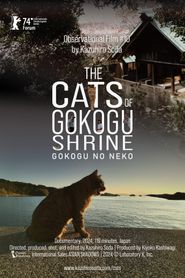 五香宮の猫 
