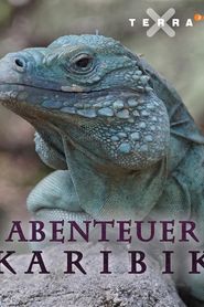 A la découverte des Caraïbes 