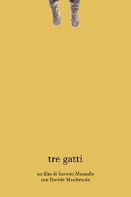 Tre gatti 