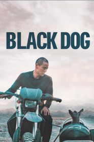 Black Dog 