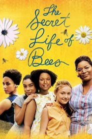 Le Secret de Lily Owens 