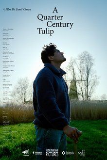 A Quarter Century Tulip-hd