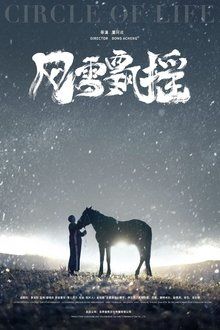 风雪飘摇-hd
