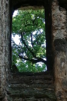 Les ruines du château de Seyssuel-hd