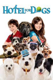 Palace pour chiens 