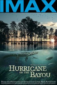 Hurricane on the Bayou 