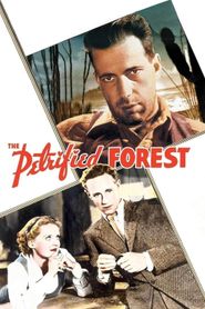 La Forêt pétrifiée 