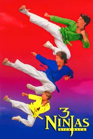 Ninja Kids 2 : Les 3 Ninjas contre-attaquent 