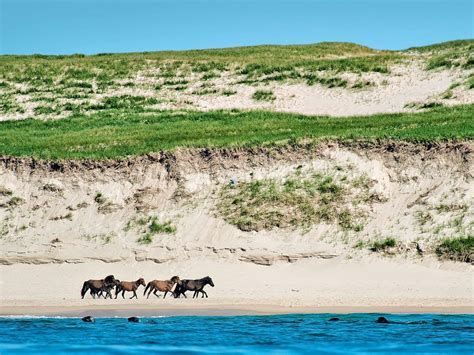 L'Île de sable