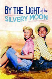 By the Light of the Silvery Moon 