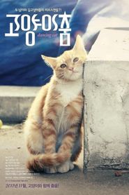 고양이 춤 
