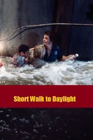 Short Walk to Daylight 