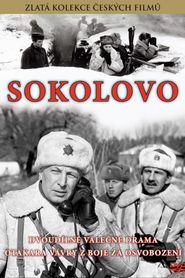 Sokolovo 