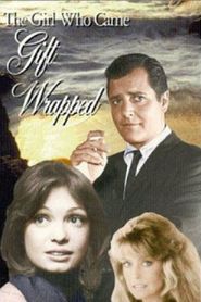 The Girl Who Came Gift-Wrapped 