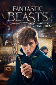 Les Animaux Fantastiques series tv