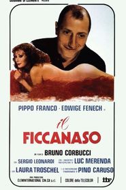 Il ficcanaso 