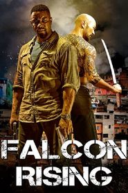 Falcon Rising series tv