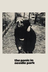 Panique à Needle Park 