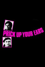 Prick Up Your Ears 