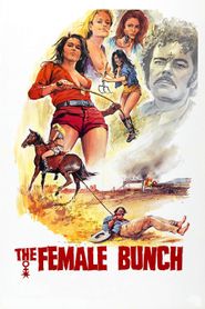 Les amazones du désir 