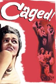 Femmes en cage 
