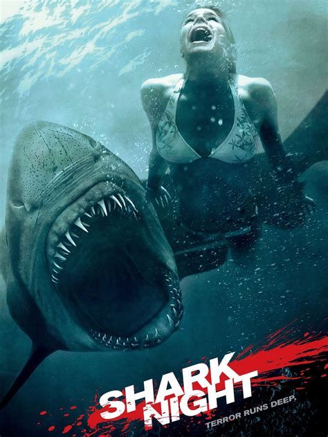Nuit blanche avec les grands requins