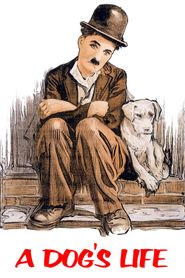 Une vie de chien 