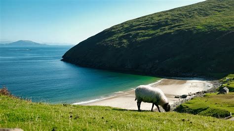 Achill