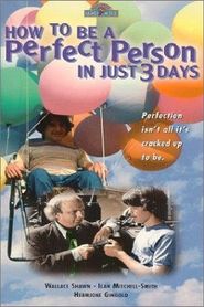 How to Be a Perfect Person in Just Three Days 