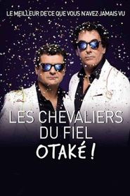 Les chevaliers du Fiel : Otaké ! Les chevaliers du Fiel : Otaké !-hd
