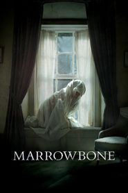 Le Secret des Marrowbone 