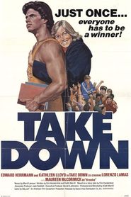 Take Down 