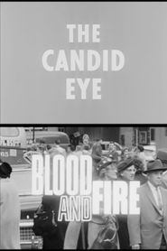 Blood and Fire 