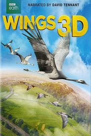 Wings 3D 