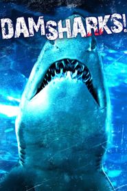 Dam Sharks! 