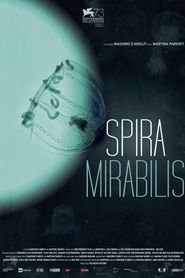 Spira Mirabilis 