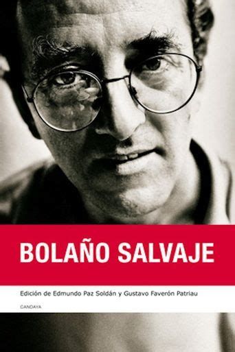 Bolaño cercano 