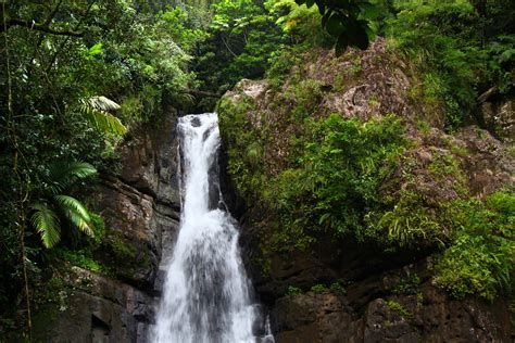 El tesoro del Yunque 
