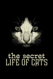 Les Super Pouvoirs du chat 