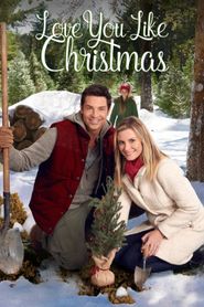 Coup de foudre sous le sapin 