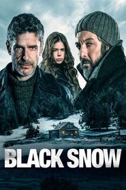 Neige noire 