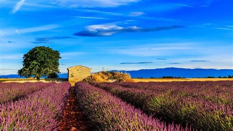 La campagne de Provence