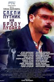 Слепи путник на броду лудака 
