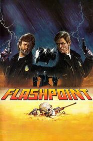 Flashpoint series tv