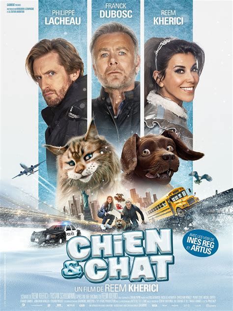 Le chien, le chat et le cibachrome