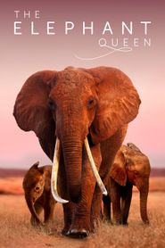 The Elephant Mother series tv