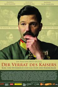 1917, l'offre de paix de l'empereur d'Autriche 