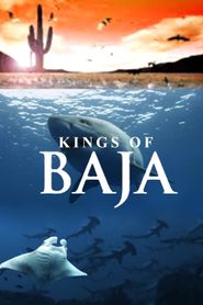 Kings of Baja 