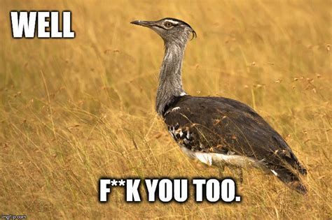 Well, Who The F*** Are You..? 